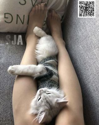 丁香五香天堂网_超清电视剧在线观看